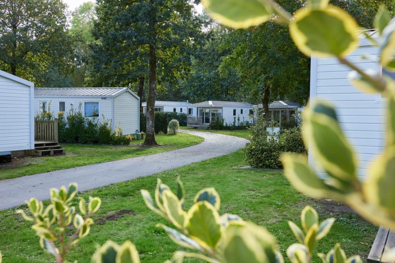 Mobil Home Xxl 4 Chambres - Camping Les Jardins Du Morbihan Monterblanc エクステリア 写真
